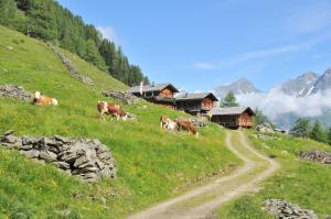 Arnitzalm in Osttirol  ... die schne Arnitzalm in Osttirol